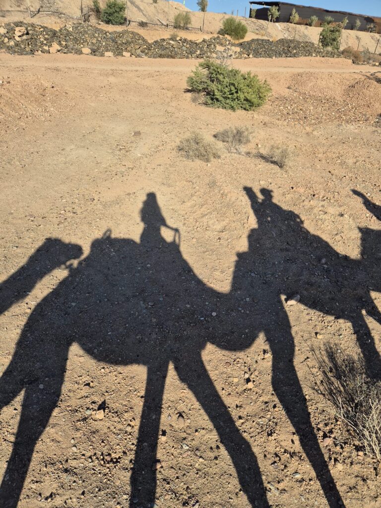 Sombras de camellos al atardecer sobre las dunas del desierto de Agafay, Marruecos